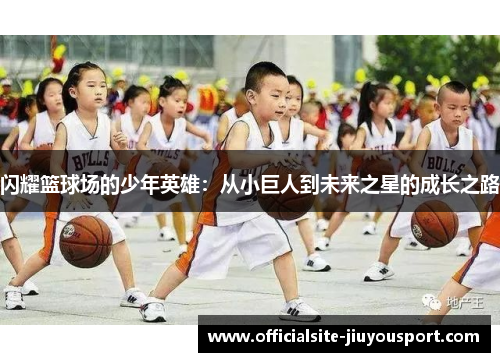 闪耀篮球场的少年英雄：从小巨人到未来之星的成长之路