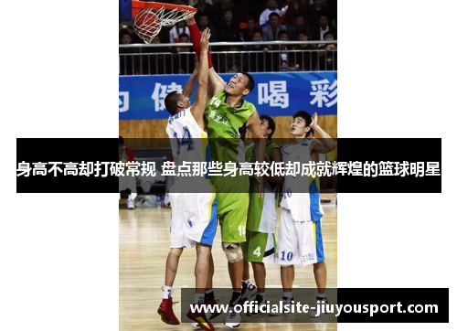 身高不高却打破常规 盘点那些身高较低却成就辉煌的篮球明星